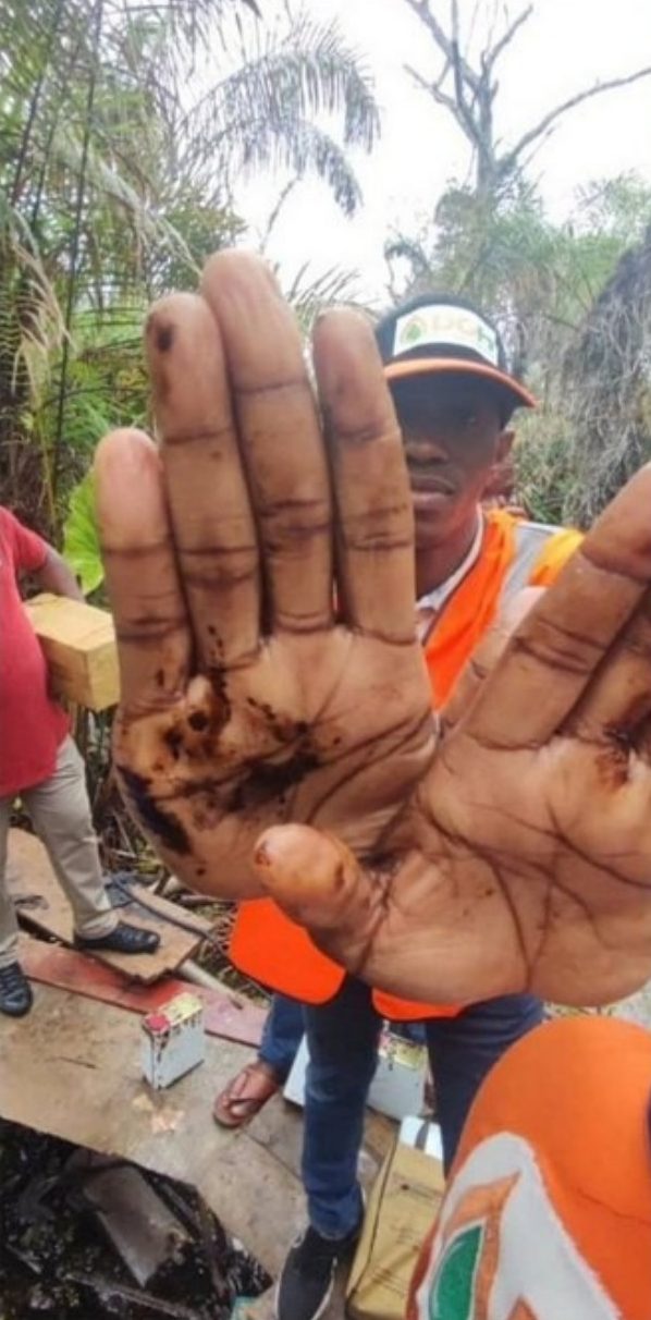 Oil from a surface seep on a field team member's hands
